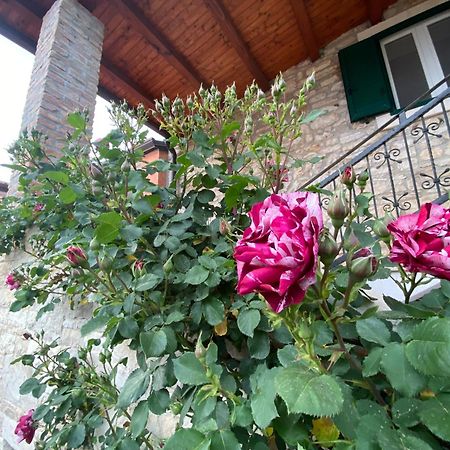Villa Kortina Bašanija 외부 사진