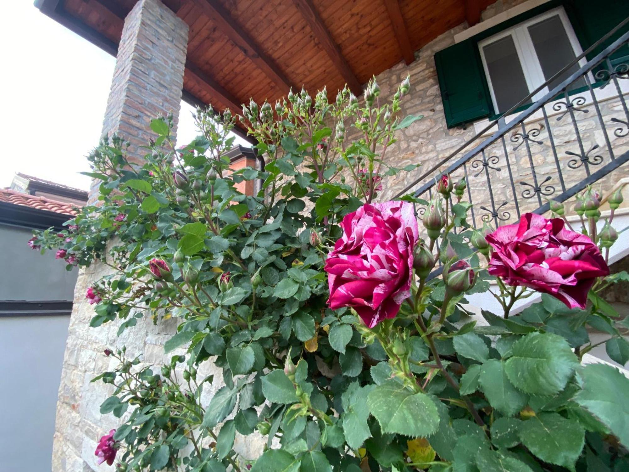 Villa Kortina Bašanija 외부 사진